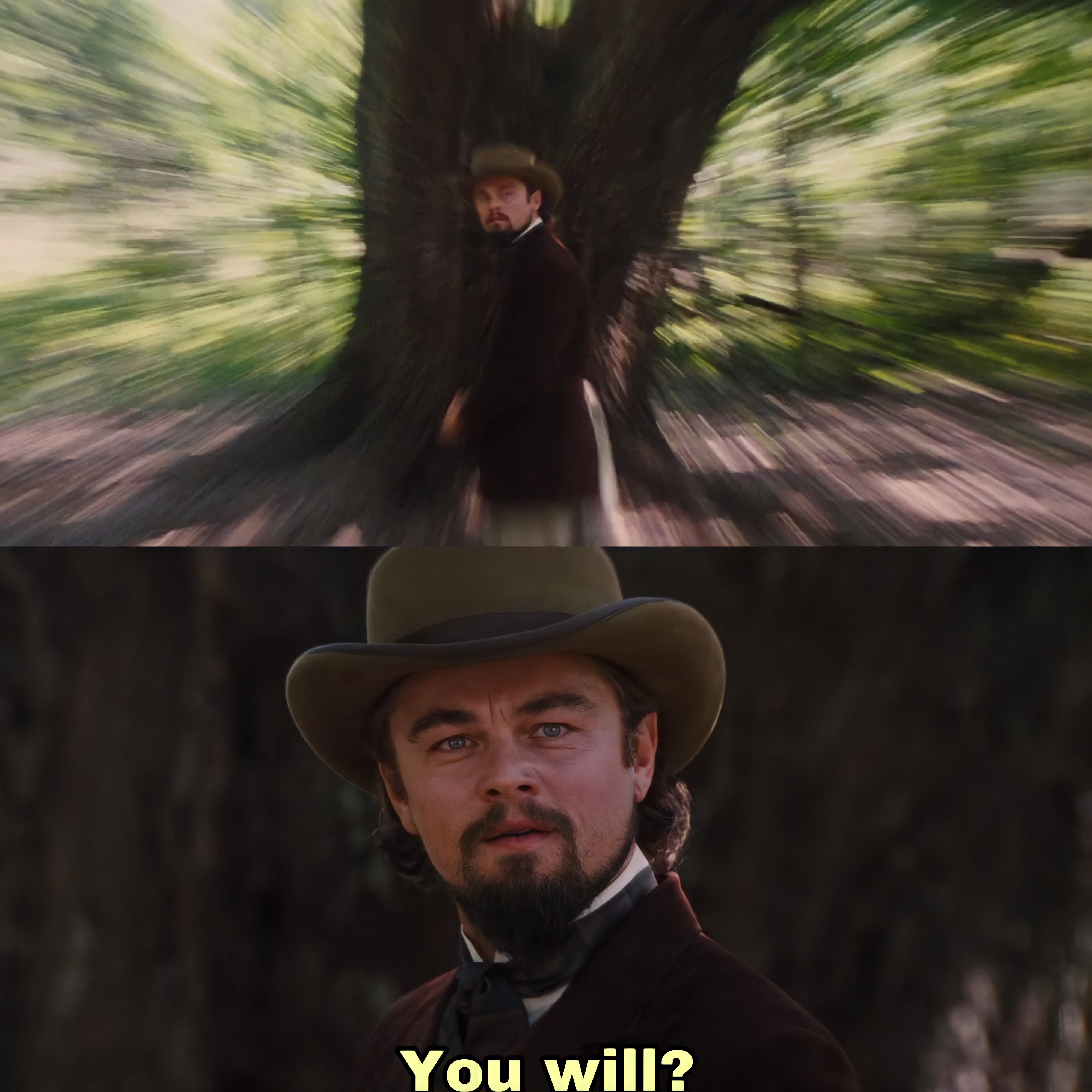 Django Unchained - Di Caprio - you will
