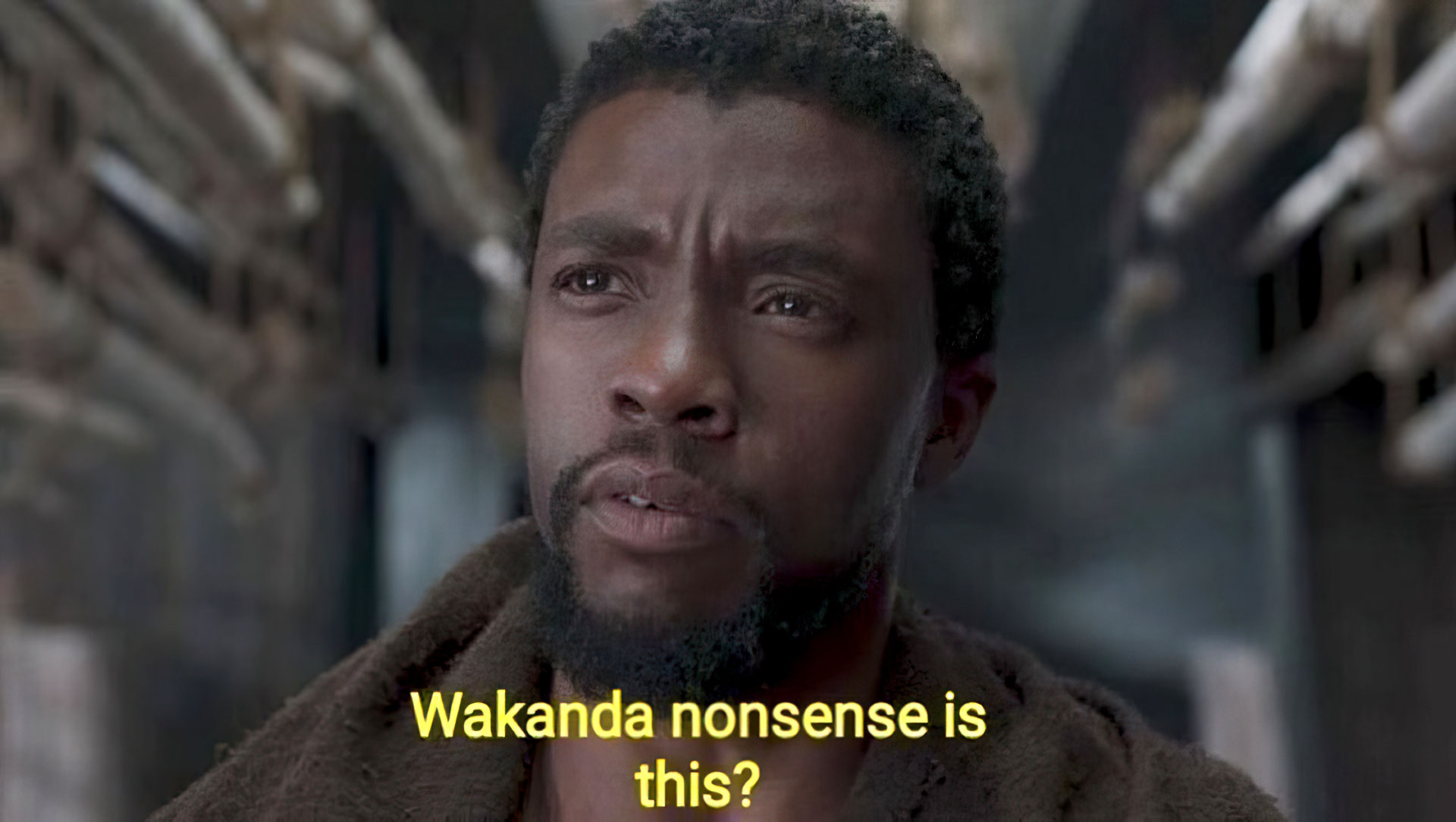 Wakanda nonsense is this