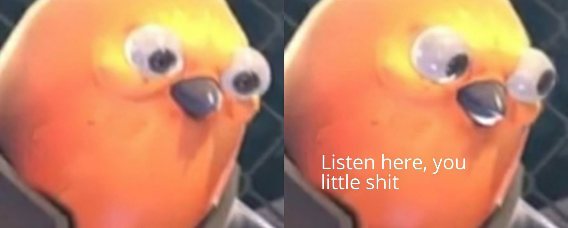 Listen here, you little shit