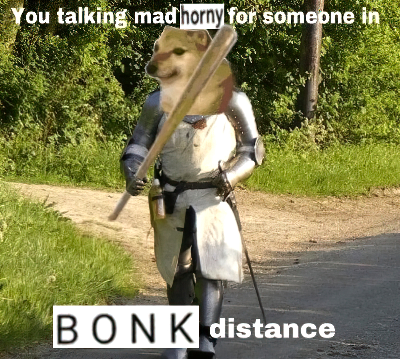 You talking mad horny for someone in BONK distance