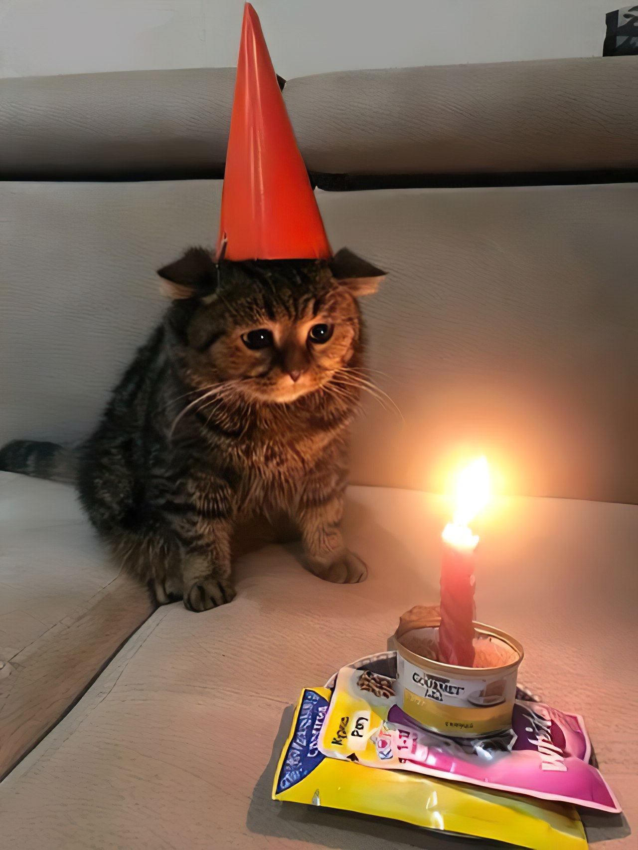 Sad Birthday Cat - Hat Candle Cake - Chat Cat Triste Anniversaire Bougie Paté