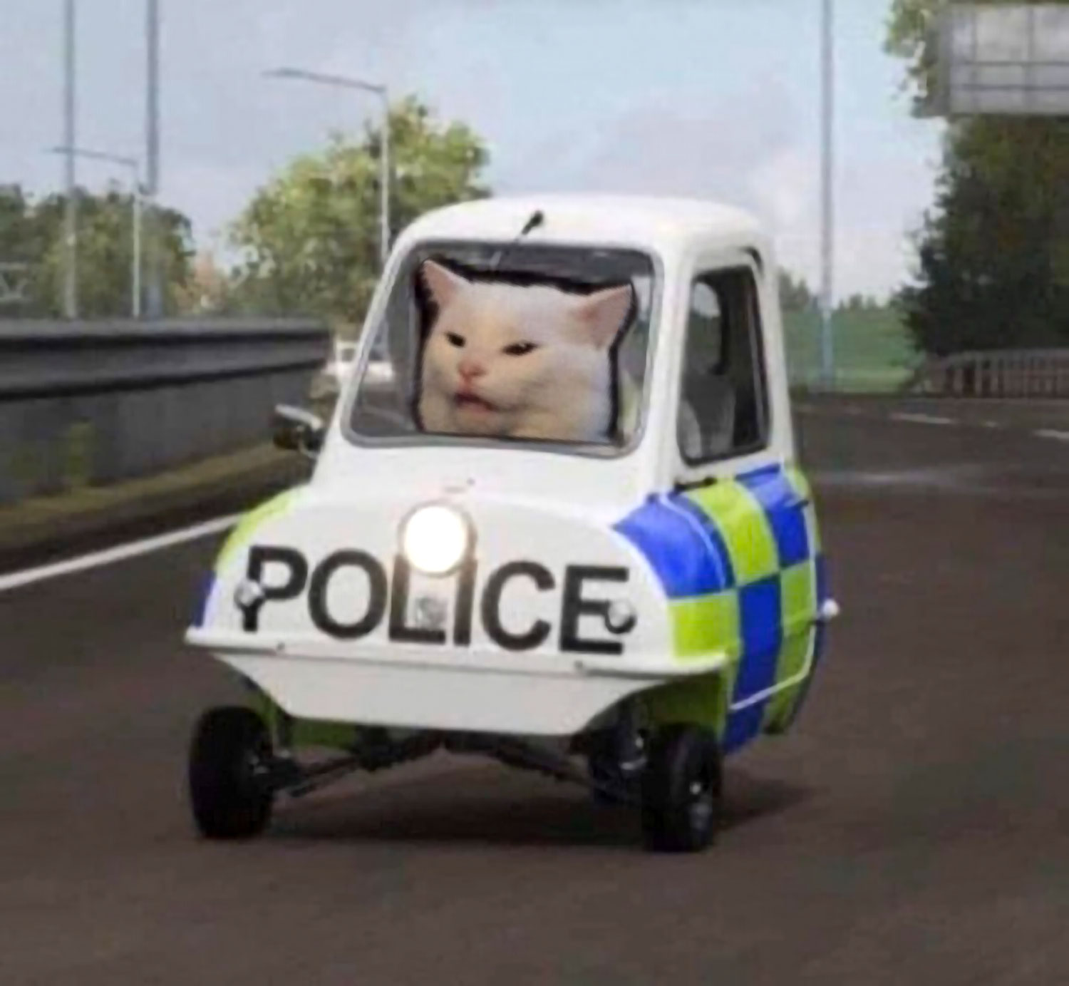 Cat police