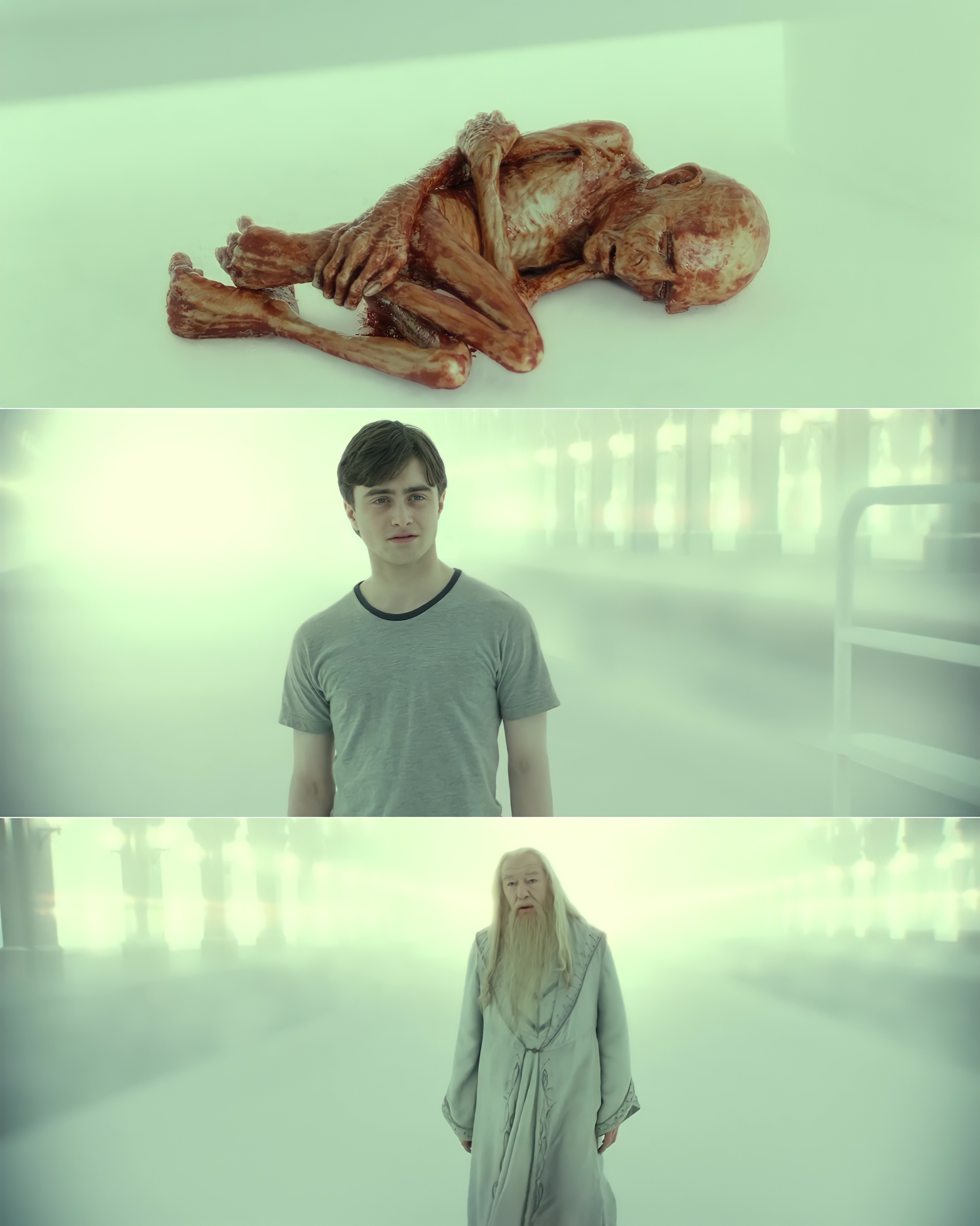 Harry Potter - Dumbledore - Voldemort - What Happened to him - Blank