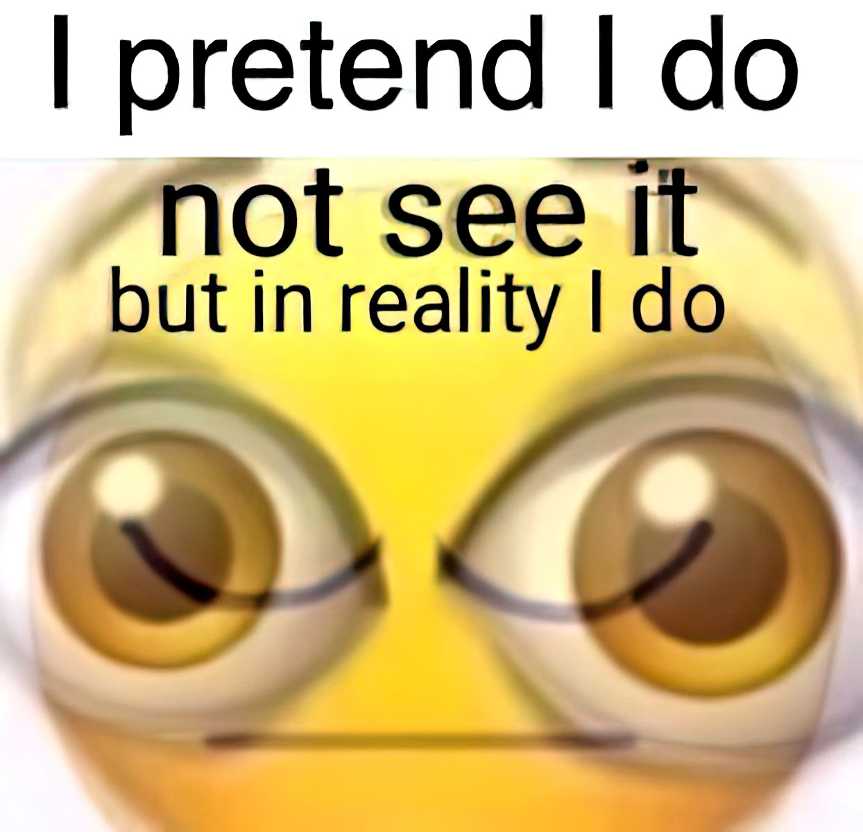 I pretend I do not see it