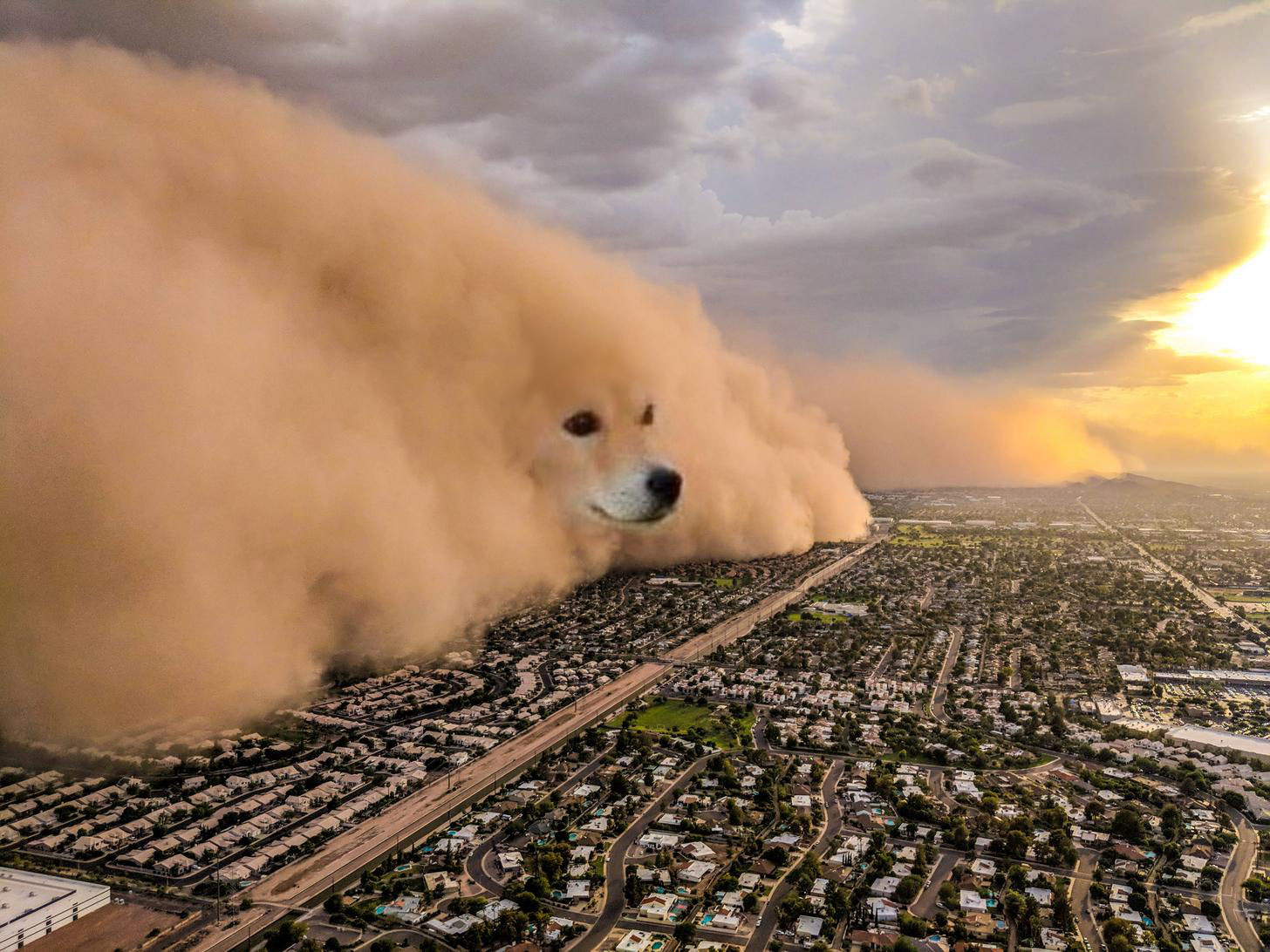 Dust Storm Dog tempete sable cheems doge ville city