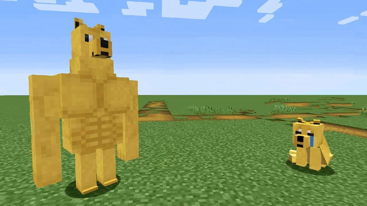 Minecraft doge Cheems Chad swole