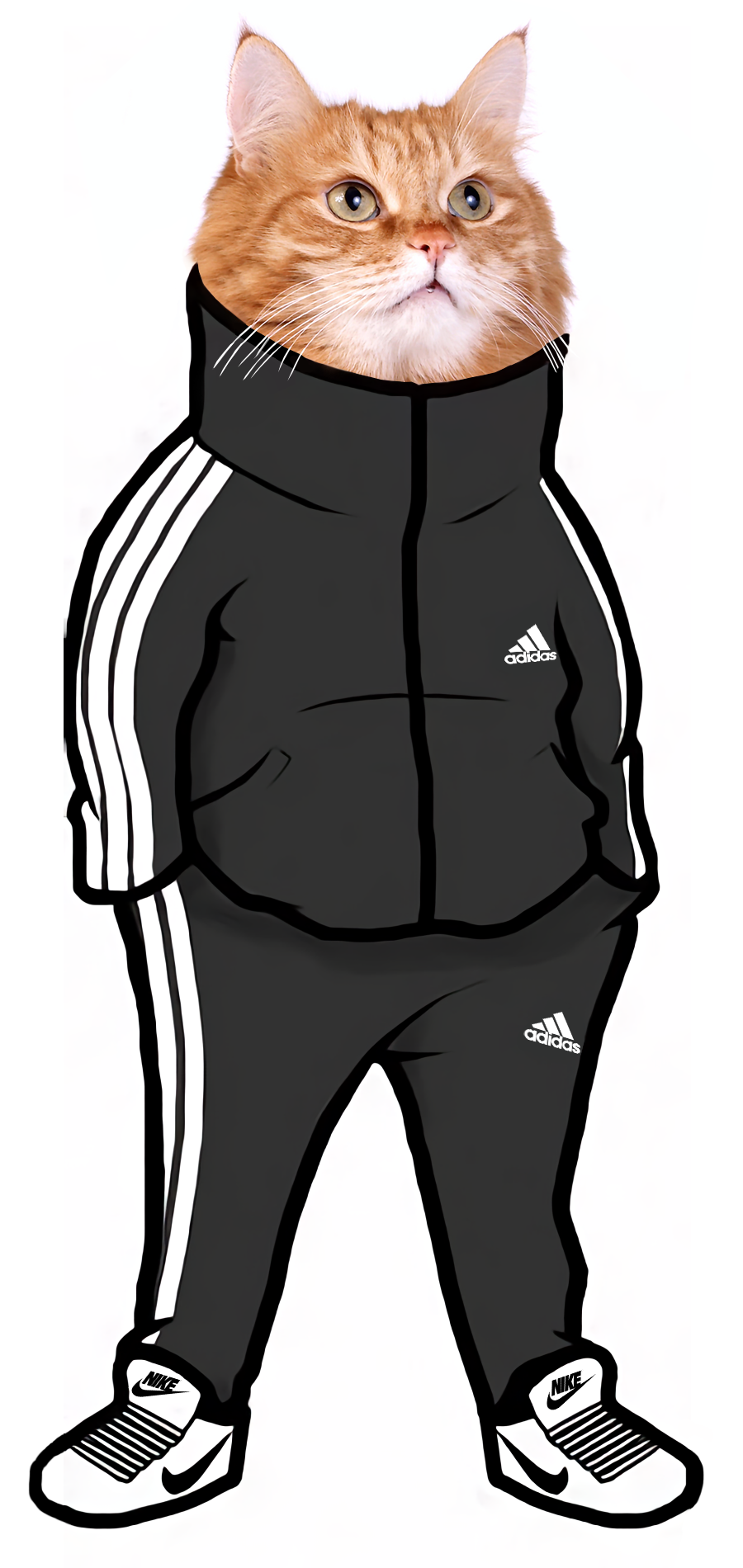 Ginger Cat in a Tracksuit chat jogging nike
