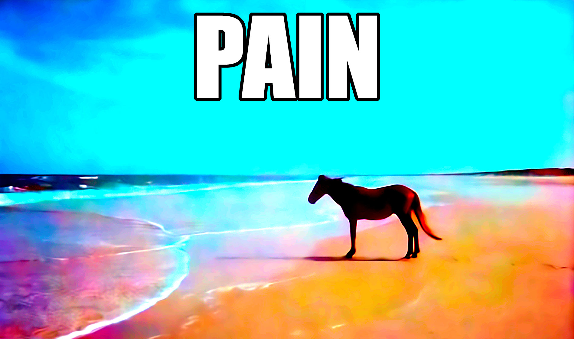 Pain horse