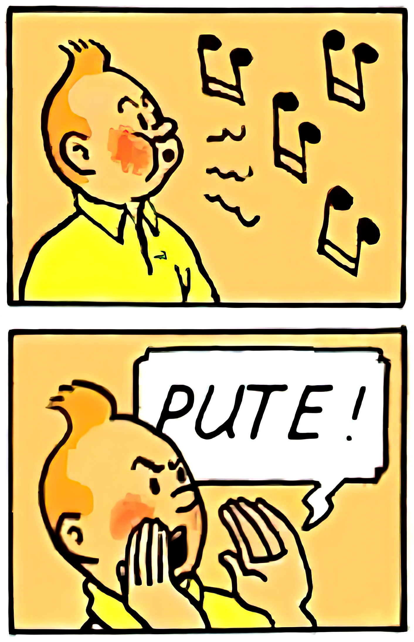 Tintin pute