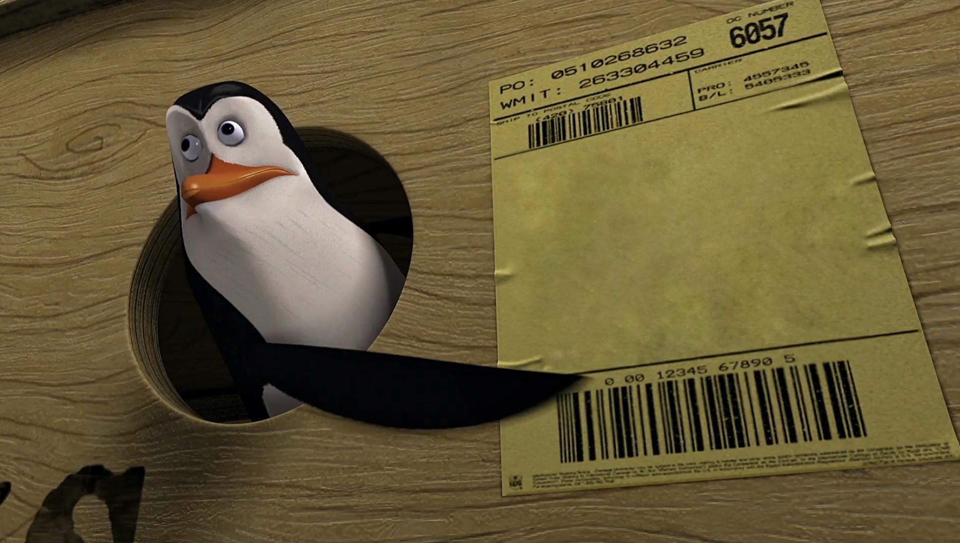 Kowalski pointing at paper