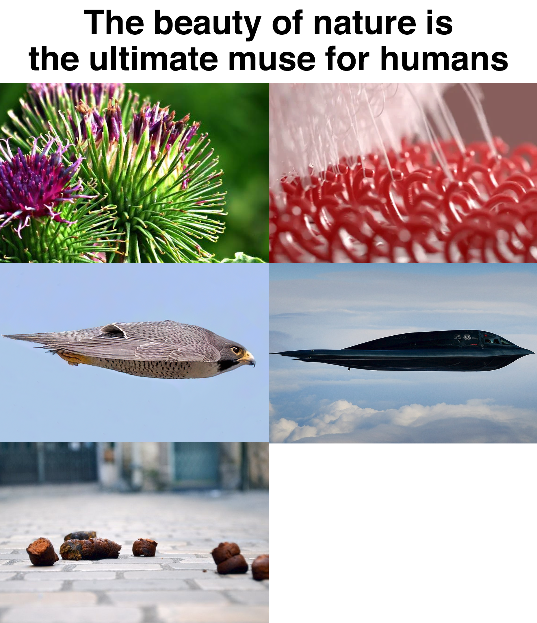 The beauty of nature is the ultimate muse for humans