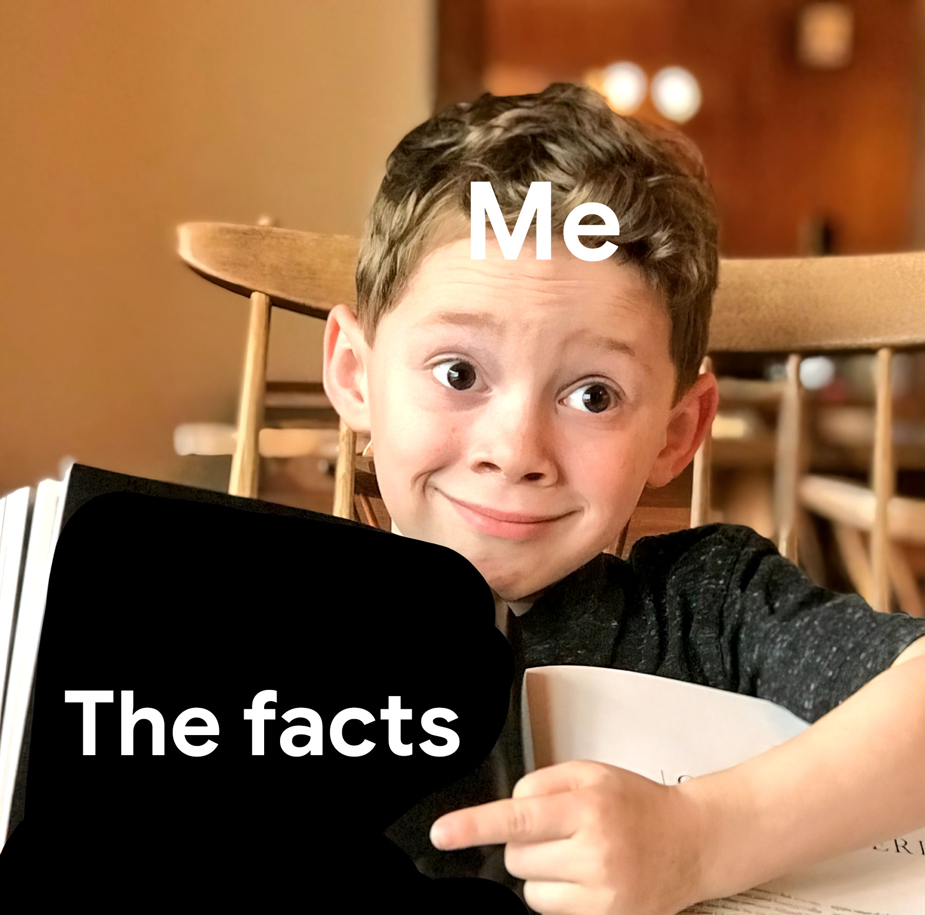 Boy Pointing At Book - Me, The Facts