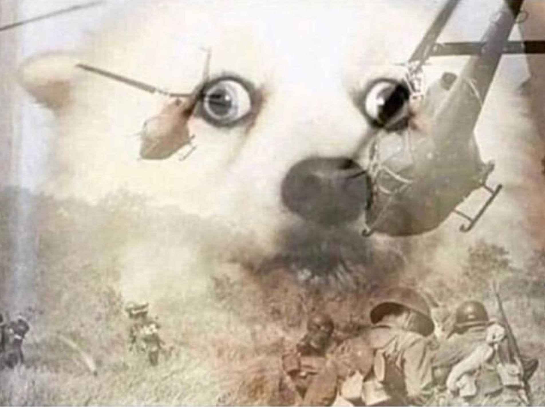 PTSD Dog - War, Helicopters - chien guerre hélicoptères