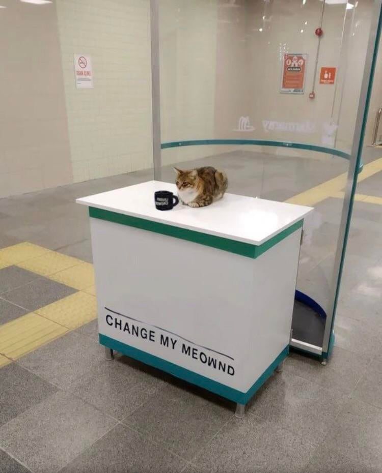 Change My Mind - Change My Meownd Empty Template - Cat, Sign