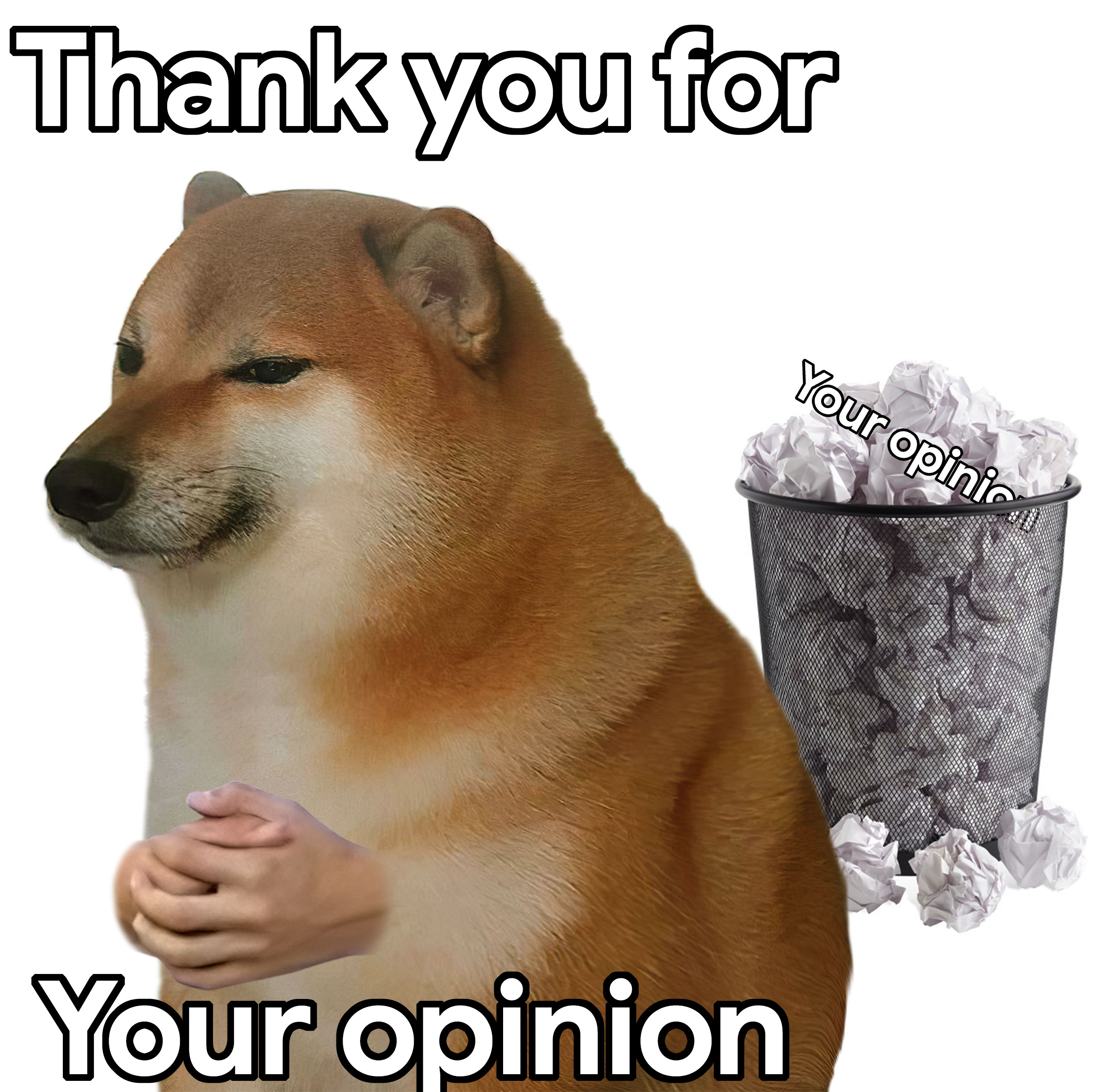 Thank you for your opinion
