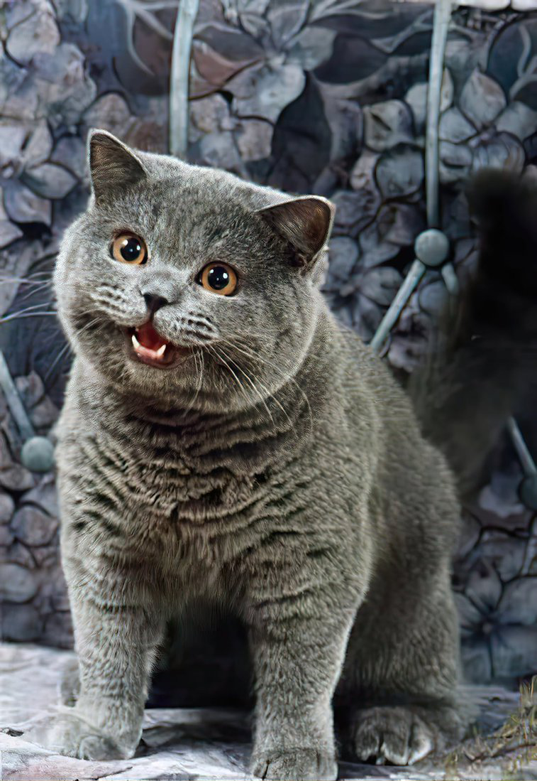 Happy Cat NEDM (Not Even Doom Music) I Can Has Cheezburger Cat - Alternate Colouration