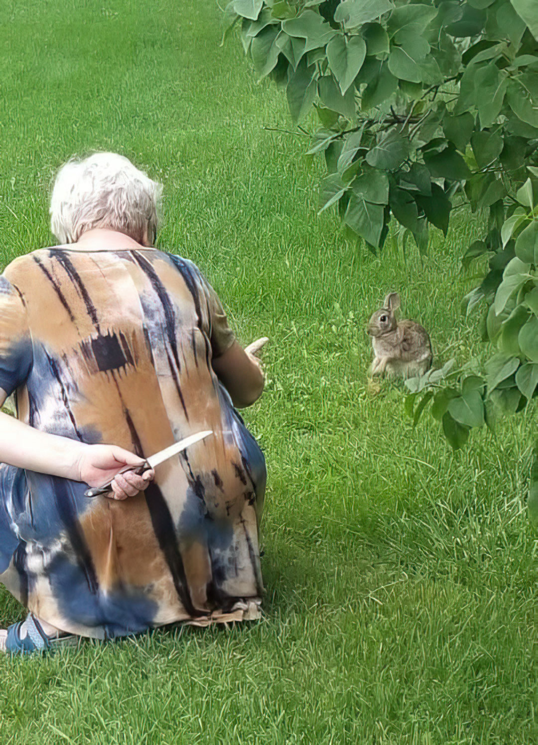 Grandma hiding knife from rabbit mamie grand mere couteau lapin