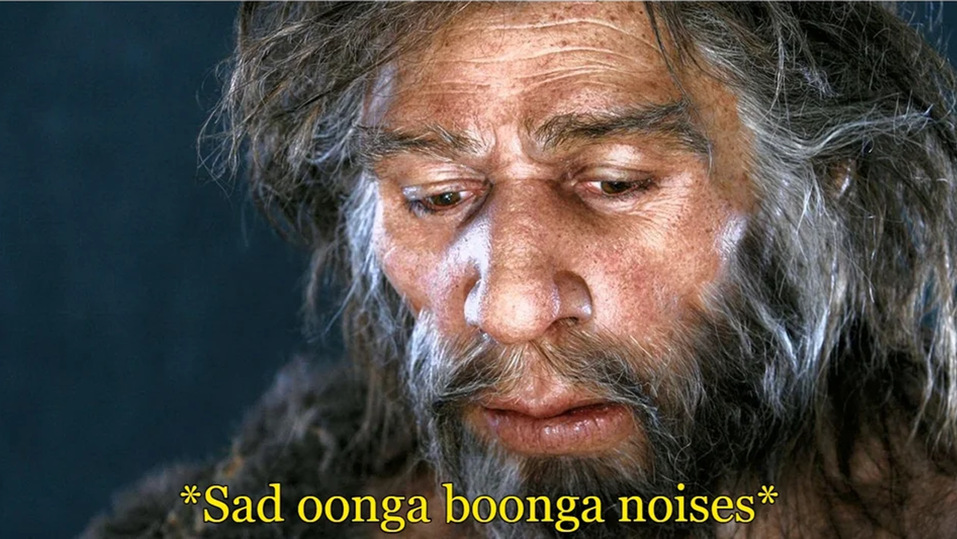 Sad oonga boonga noise