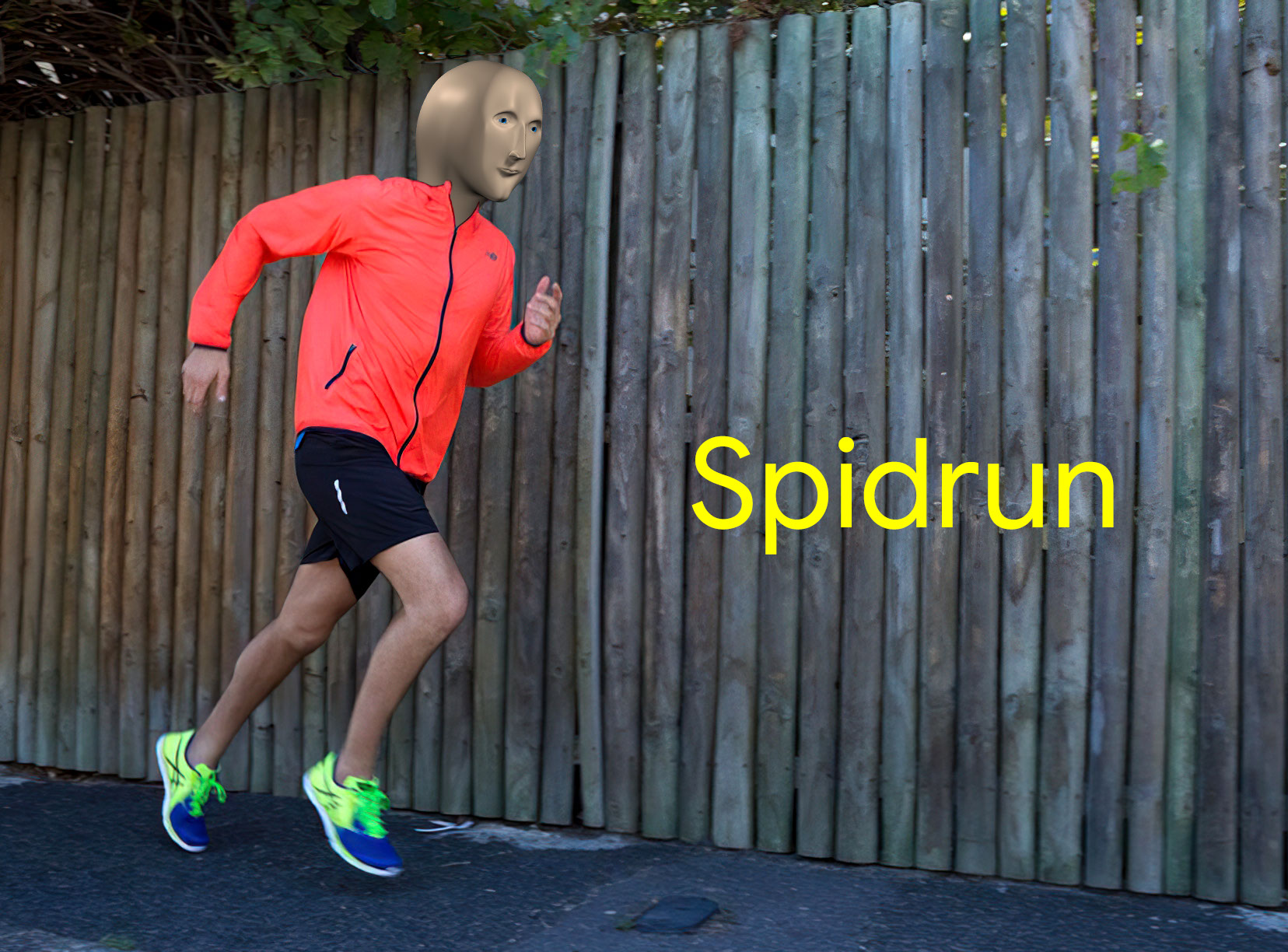 Spidrun - Mememan