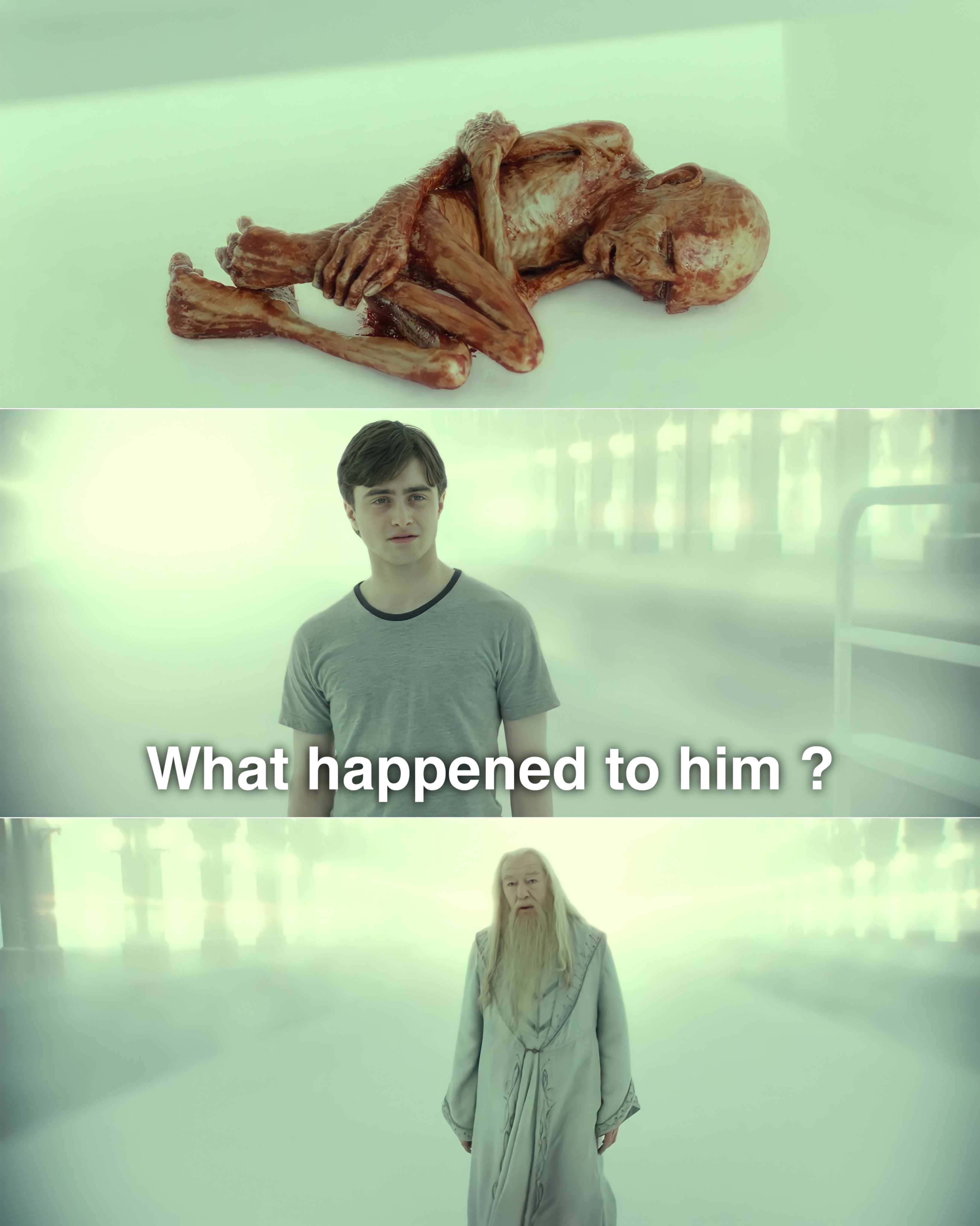 Harry Potter - Dumbledore - Voldemort - What Happened to him