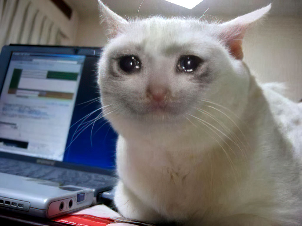 Crying Cat Template Schmuserkadser - Chat