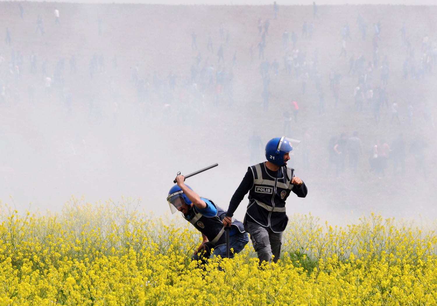 Police fleurs méchantes