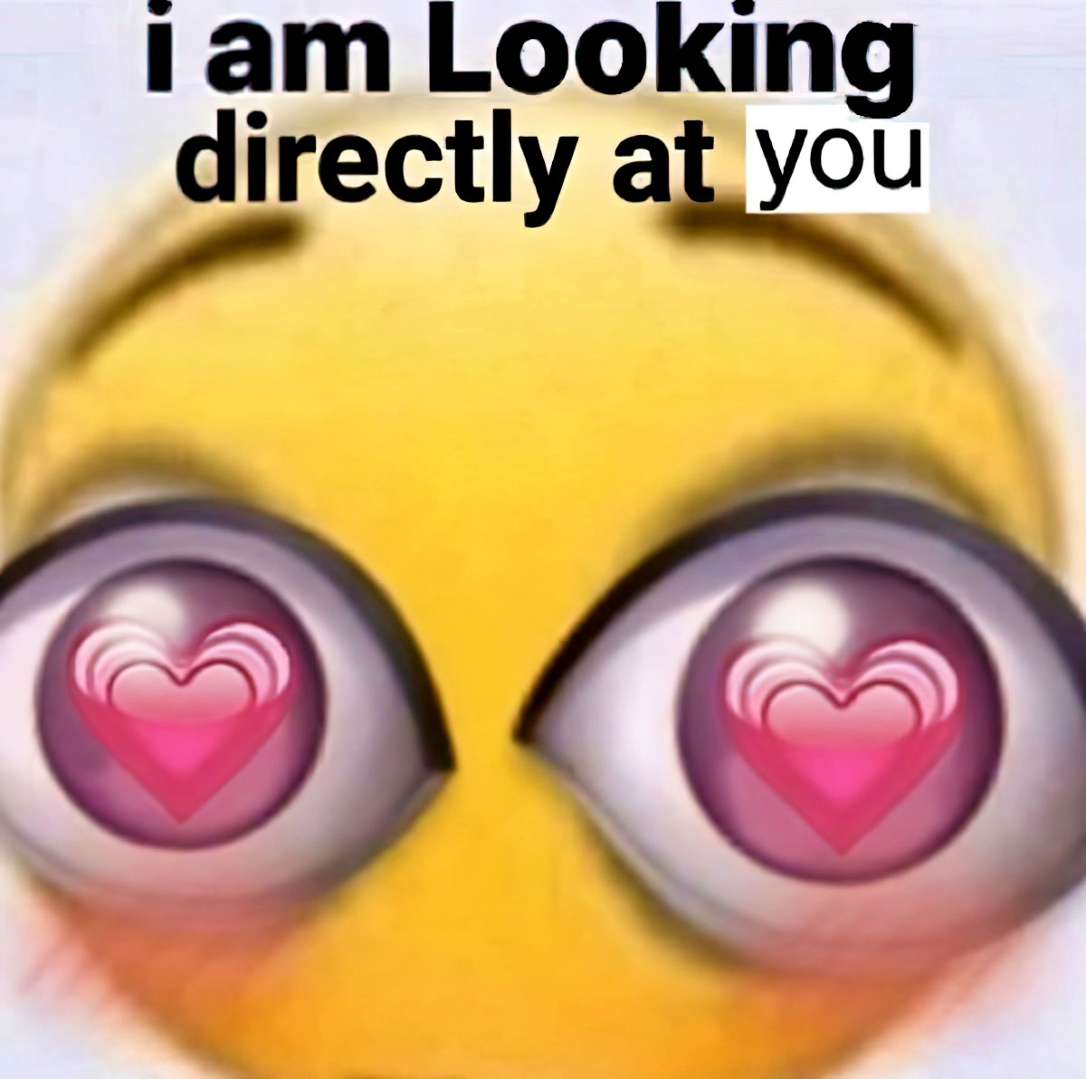 I am looking directly at you