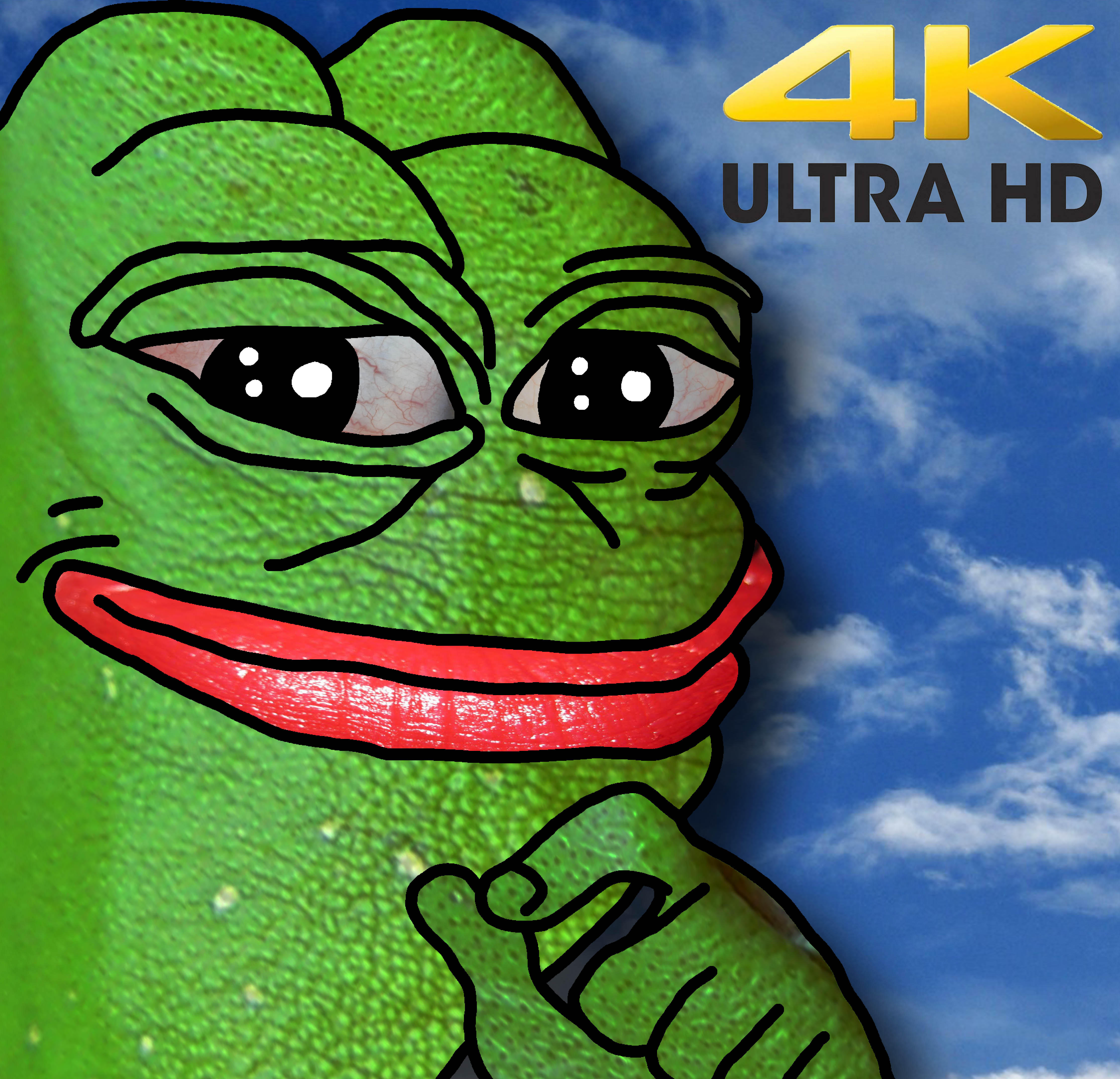 Smug frog 4k uhd