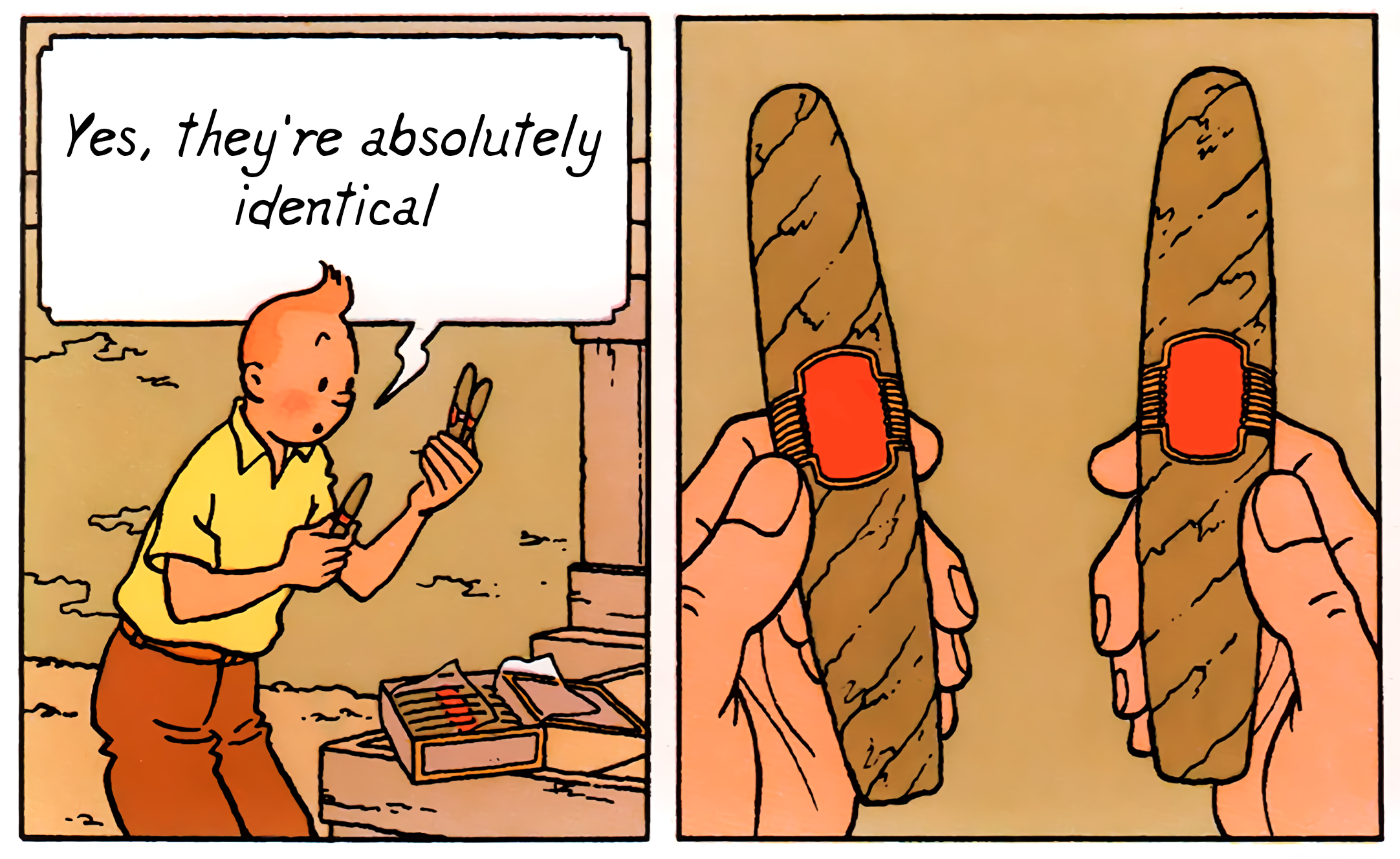 Tintin Yes, they're absolutely identical - The Adventures Of Tintin