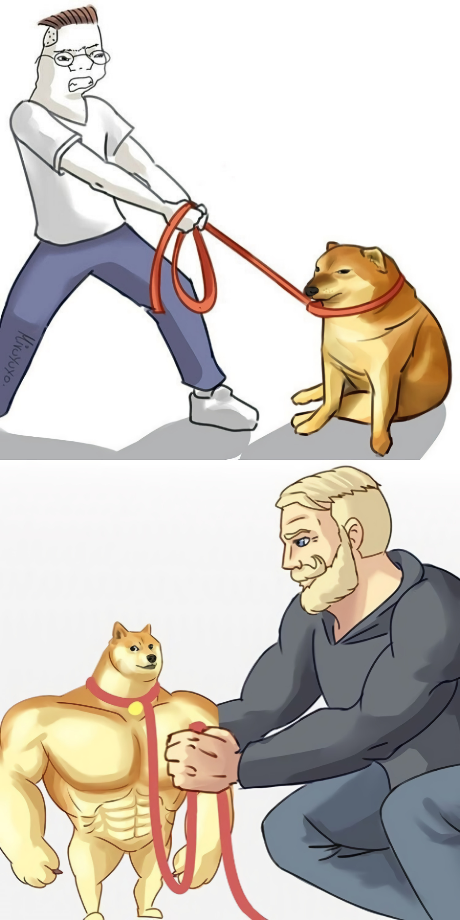 Swole Cheems Chad Doge