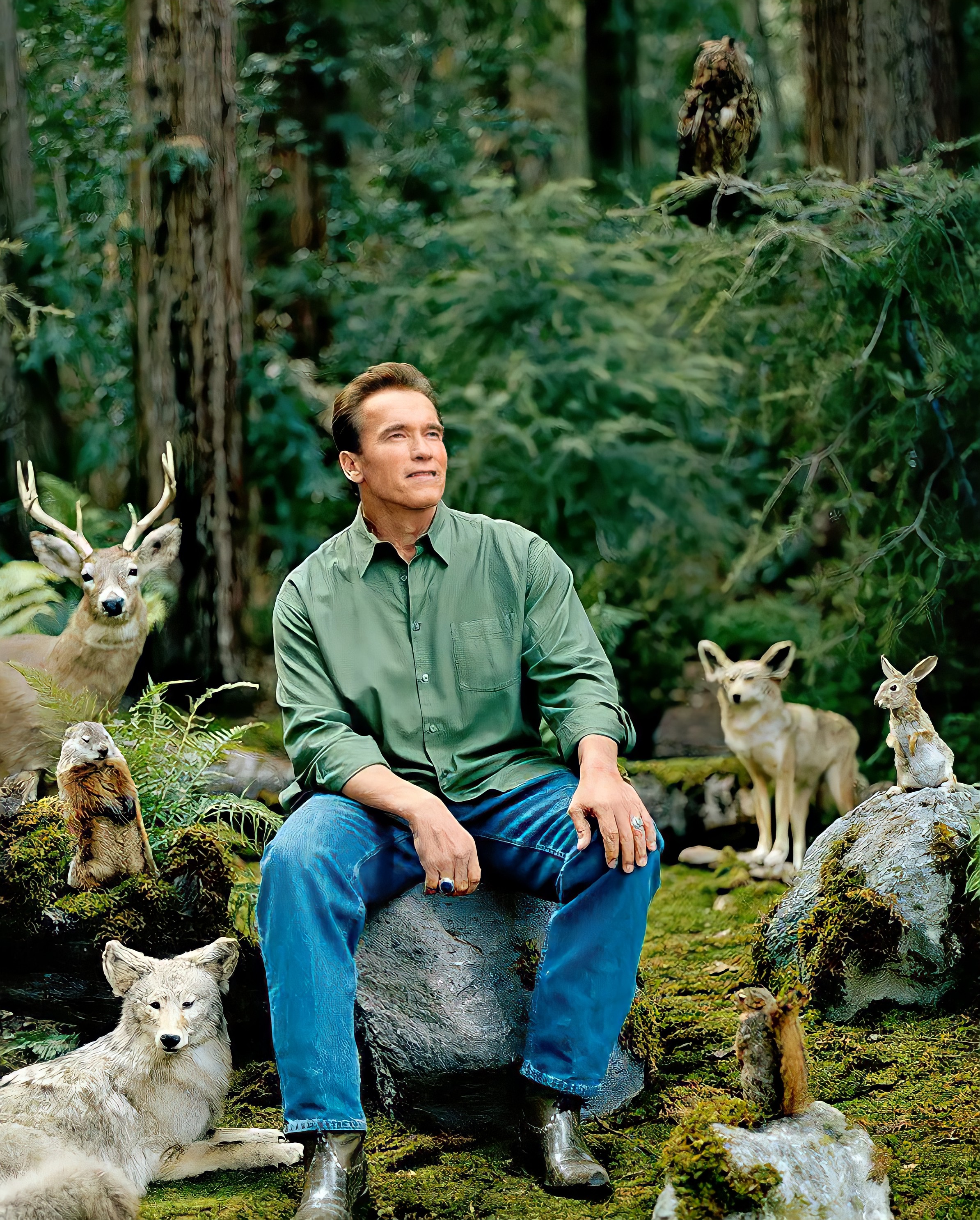 One With Nature Template - Arnold Schwarzenegger - forêt animaux forest