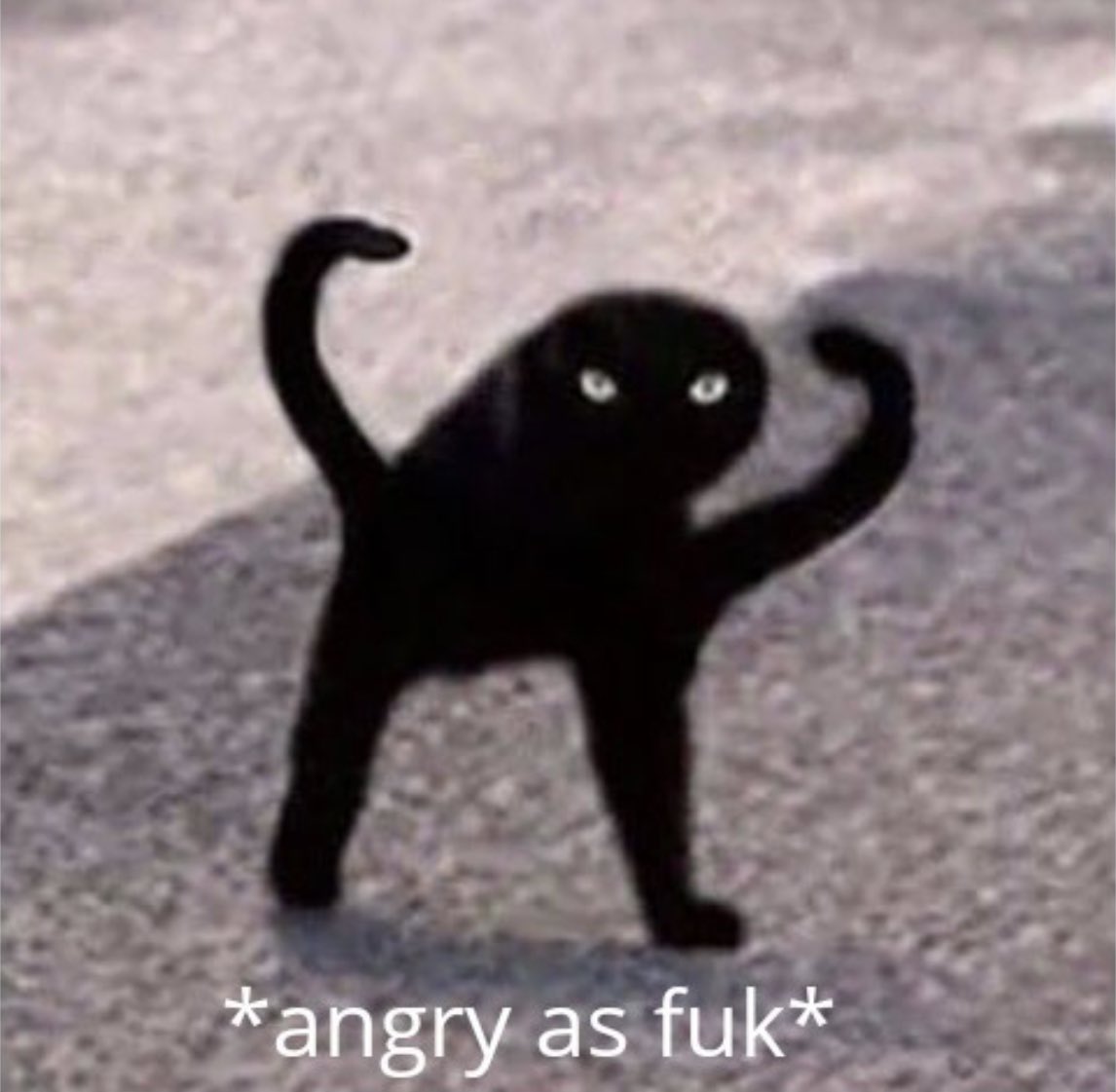 Cursed Cat Angry As Fuk ъуъ съука