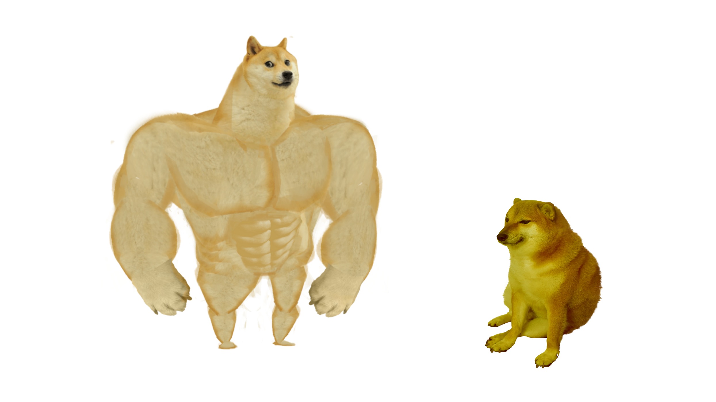 Swole doge and cheems