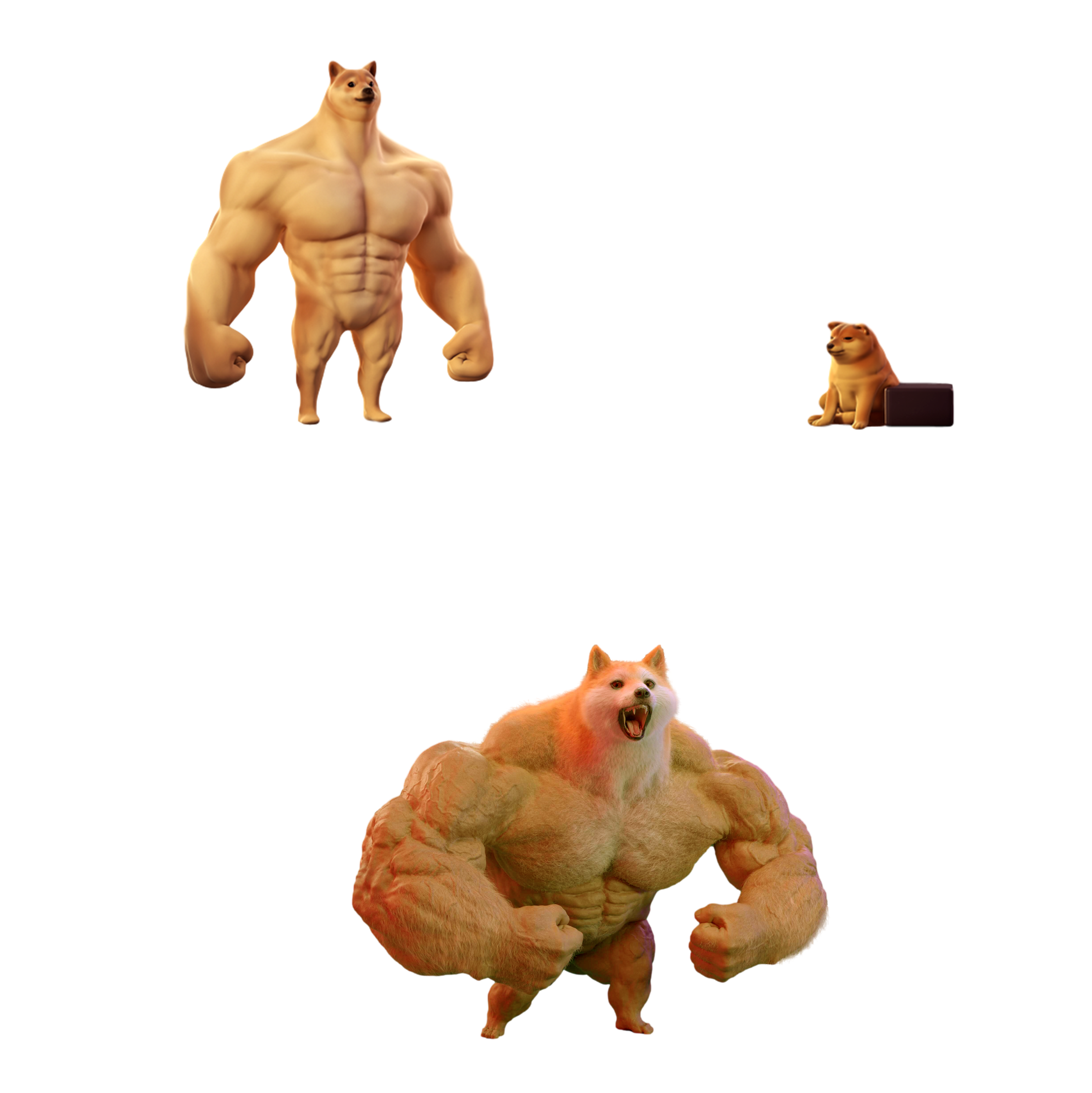 Doge swole megachad
