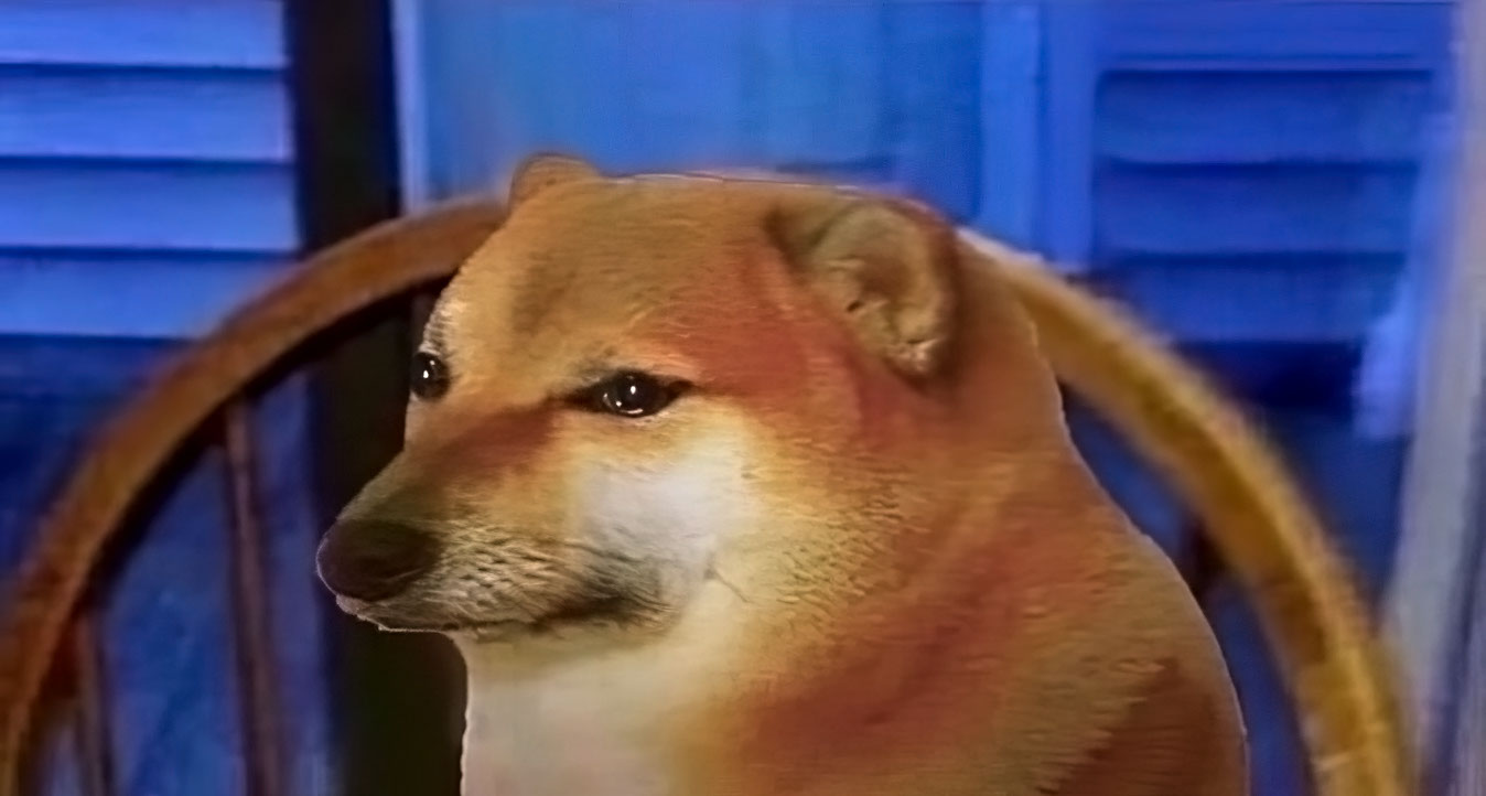 Doge triste
