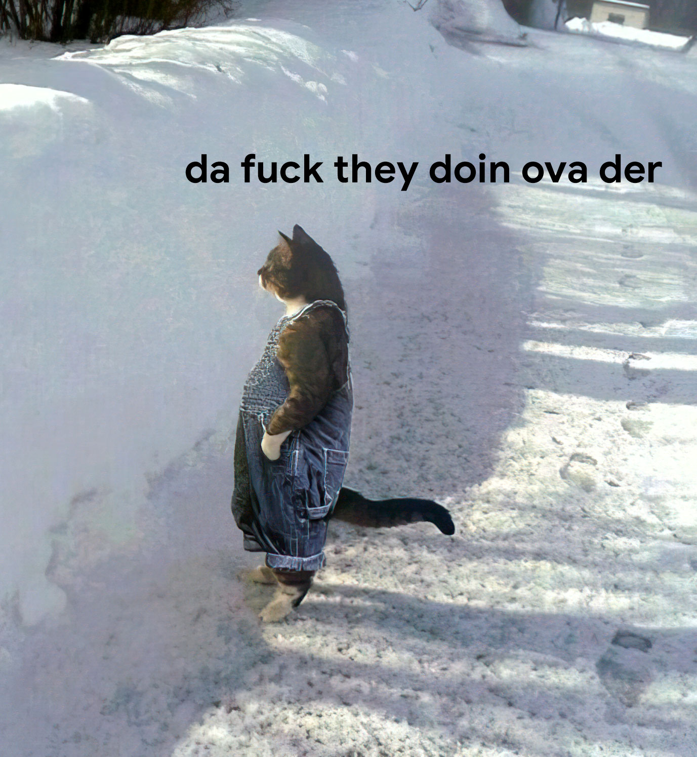 Da fuck they doin ova der